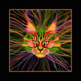 Hommage an Louis Wain 1